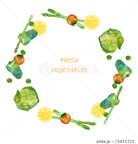 野菜 フレーム 枠 食材のイラスト素材