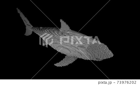 サメ シャーク 鮫 ジョーズのイラスト素材