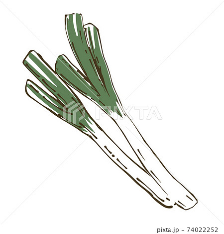 ねぎのイラスト素材集 ピクスタ