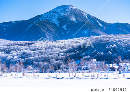 雪景色 シラカバ 白樺 積雪の写真素材 - PIXTA