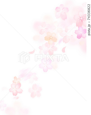 薄紫の花の写真素材