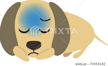 ダックスフンド ミニチュアダックスフンド 犬 正面のイラスト素材