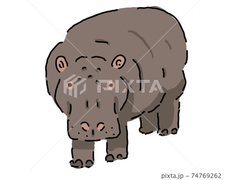 カバのイラスト素材集 ピクスタ