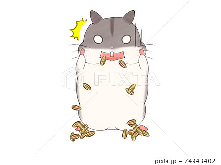ヒマワリの種のイラスト素材