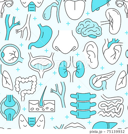 Seamless pattern with internal organs. Human body anatomy. Health