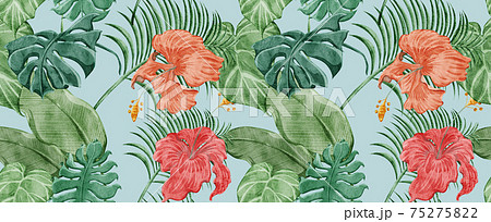 熱帯植物のイラスト素材