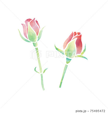 バラ 薔薇 花 蕾のイラスト素材