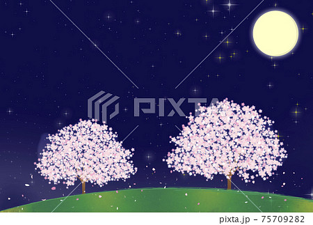 夜桜 月 桜 満月のイラスト素材