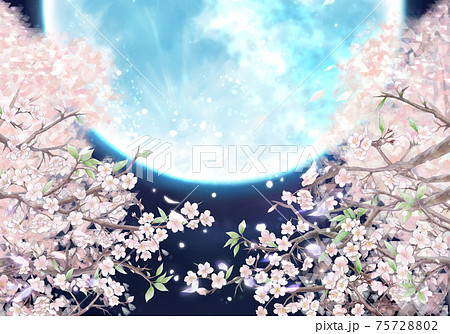 夜桜 月 桜 満月のイラスト素材