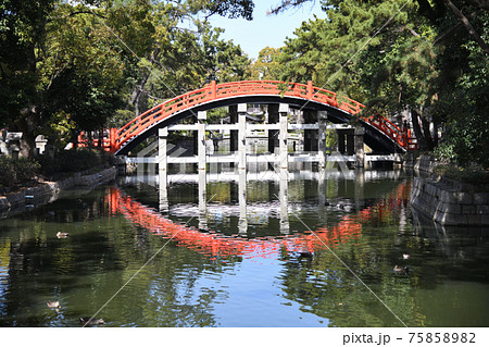 伊邪那岐大神の写真素材