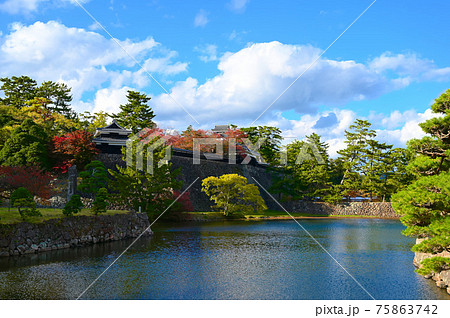 松江城 紅葉 秋 天守閣の写真素材