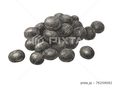 黒豆のイラスト素材