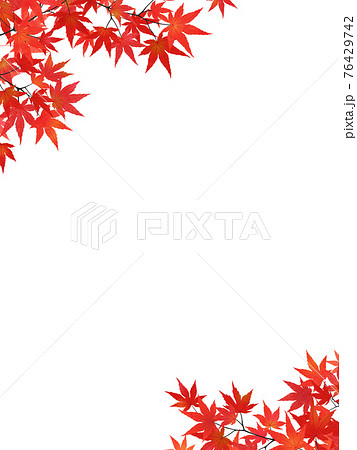 縦長枠のイラスト素材