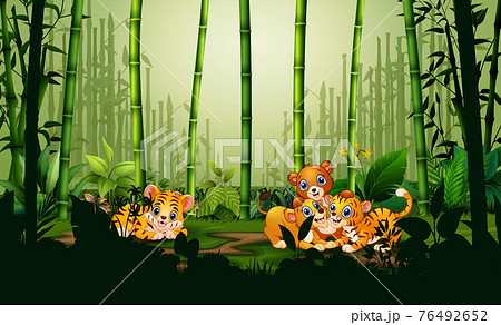 森林 背景イラスト トラ ジャングルのイラスト素材