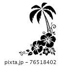 椰子 ハイビスカス イラスト 白黒 植物の写真素材