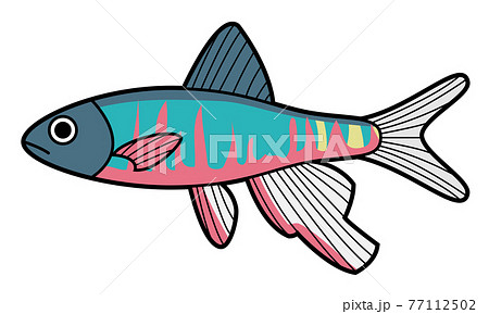 オイカワのイラスト素材