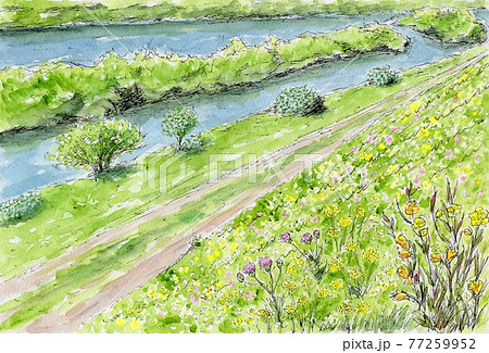 河川敷のイラスト素材