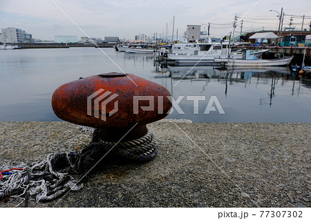 艫綱の写真素材