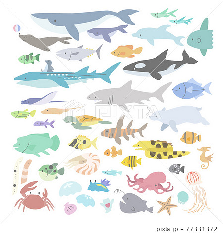 かわいいクジラのイラスト素材