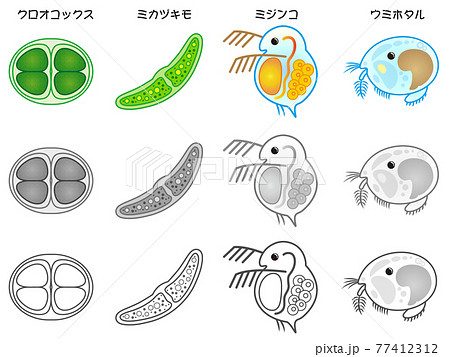 微生物のイラスト素材集 ピクスタ