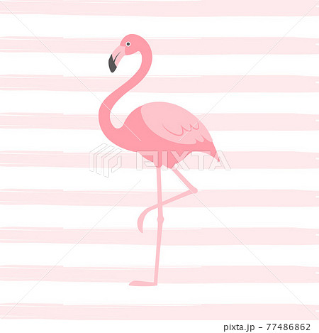 フラミンゴのイラスト素材集 ピクスタ
