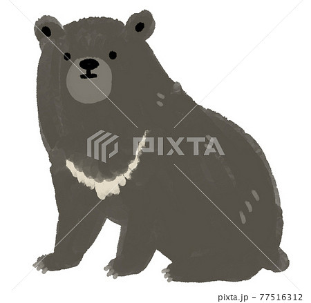 熊 ツキノワグマ かわいい 動物の写真素材