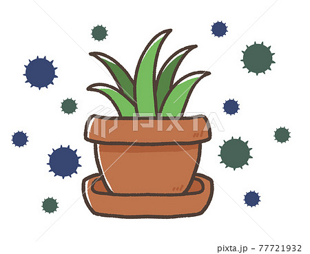 カビのイラスト素材