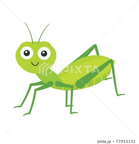 Vector Illustration Of Cartoon Grasshopper のイラスト素材