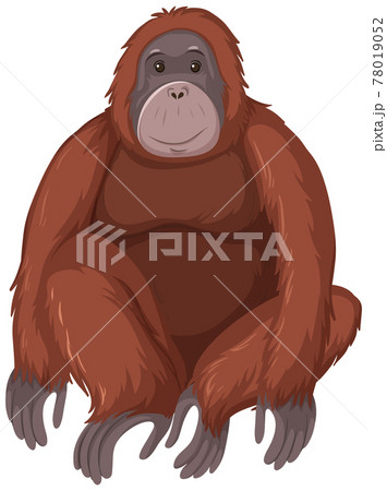 オラウータン かわいいのイラスト素材