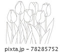 꽃 색칠 매화 - 스톡일러스트 [78285933] - Pixta