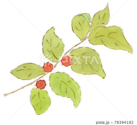 野いちごのイラスト素材