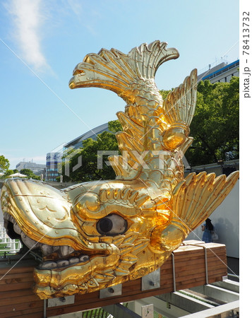 鯱 シャチ 口 歯の写真素材