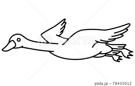 白鳥のイラスト素材集 ピクスタ