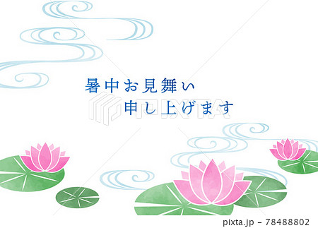 睡蓮 花 植物 蓮のイラスト素材