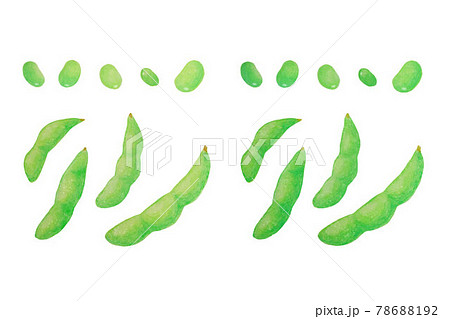 手書き 枝豆 えだまめ 豆のイラスト素材
