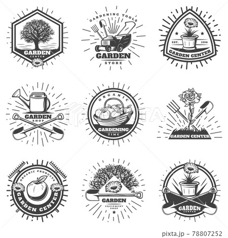 白黒 モノクロ ベクター りんごの木のイラスト素材