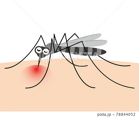 蚊のイラスト素材集 ピクスタ
