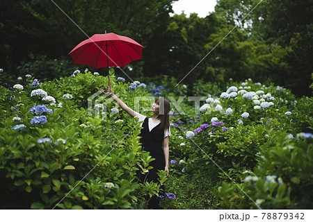 雨 傘 梅雨 美しいの写真素材