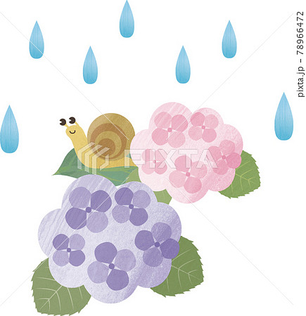 梅雨 雨 あじさい 花のイラスト素材 梅雨 雨 あじさい 花のイラスト素材