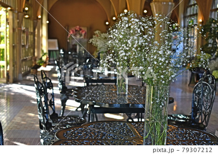 香川県レオマワールドの写真素材