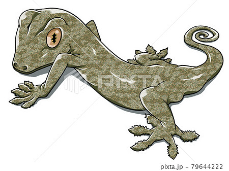 ヤモリ かわいいのイラスト素材