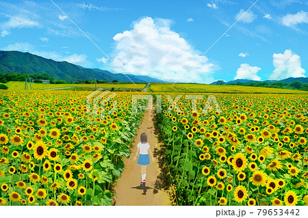 ヒマワリ畑 人物 女の子 満開のイラスト素材