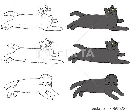 猫 イラスト スケッチ ペン画のイラスト素材