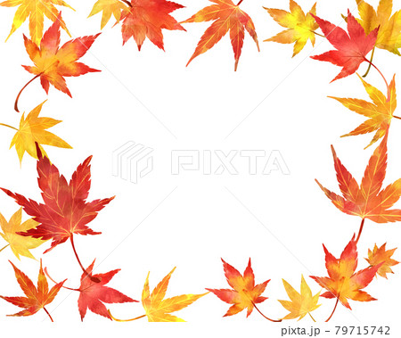 透過 葉のイラスト素材