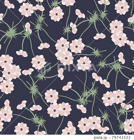花 パターン 壁紙 アネモネの写真素材