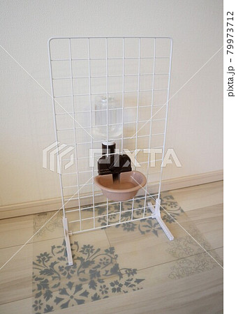 ちちゃきさん No の写真素材