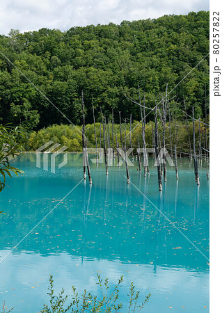 北海道 壁紙 美瑛 青い池の写真素材