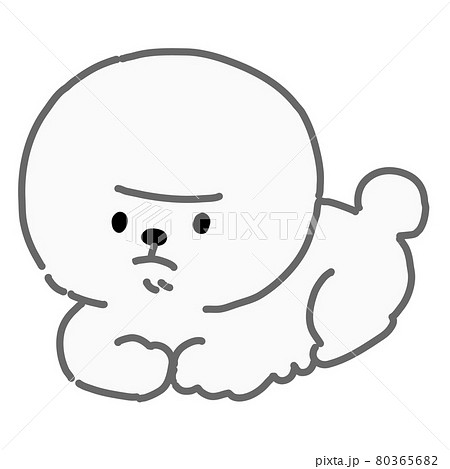 ビションフリーゼのイラスト素材