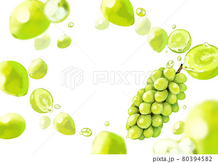 シャインマスカットのイラスト素材 シャインマスカットのイラスト素材