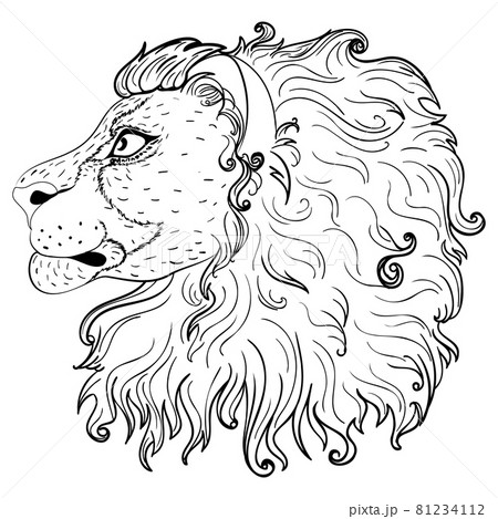 動物 ライオン 横顔 哺乳類のイラスト素材